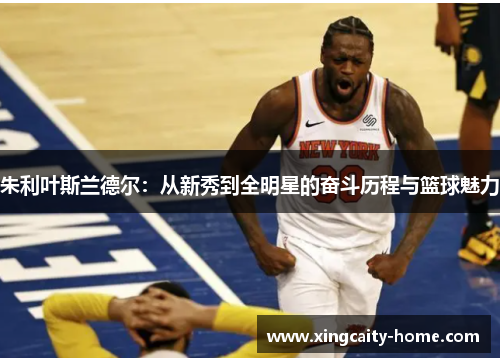 朱利叶斯兰德尔：从新秀到全明星的奋斗历程与篮球魅力